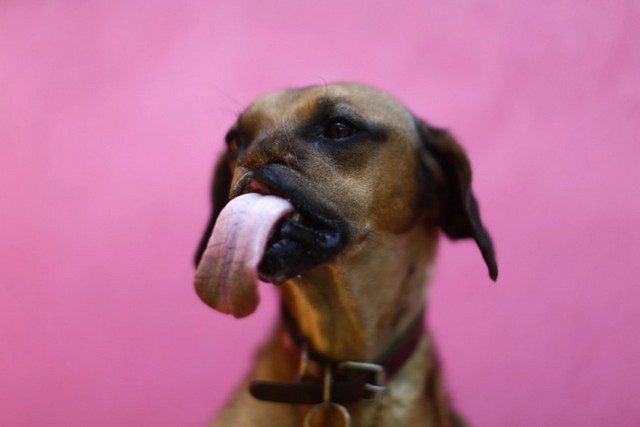 دیدنی های امروز