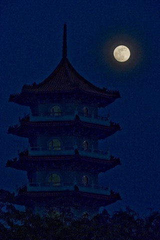 دیدنی های امروز