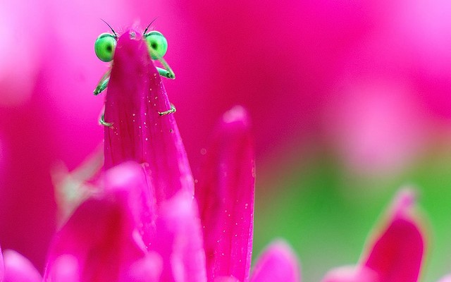 دیدنی های امروز