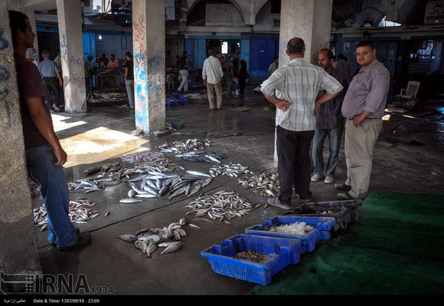 بازار ماهی سواحل غزه (عکس)
