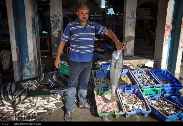 بازار ماهی سواحل غزه (عکس)