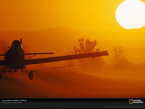 این تصاویر زیبا را ببینید!