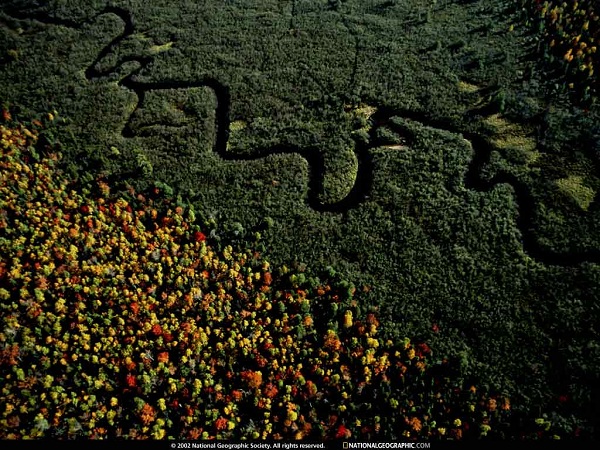 این تصاویر زیبا را ببینید!