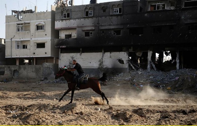 دیدنی های امروز دیدنی های امروز