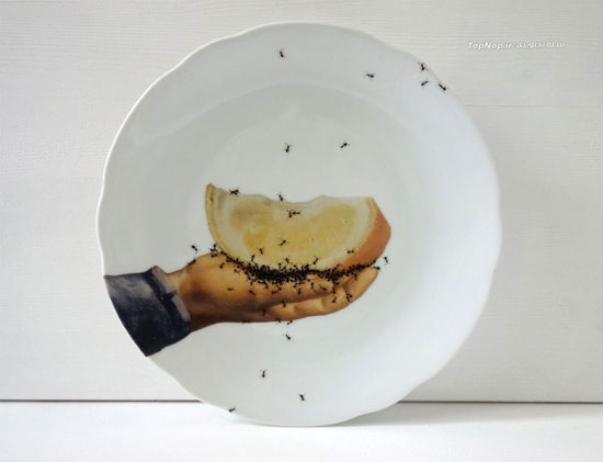 پذیرایی با ظروفی پر از مورچه! (عکس)