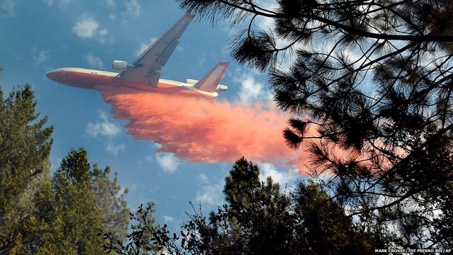 دیدنی های امروز دیدنی های امروز