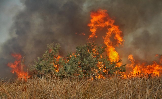 آتش‌سوزی گسترده در آشوراده بندر ترکمن (عکس)