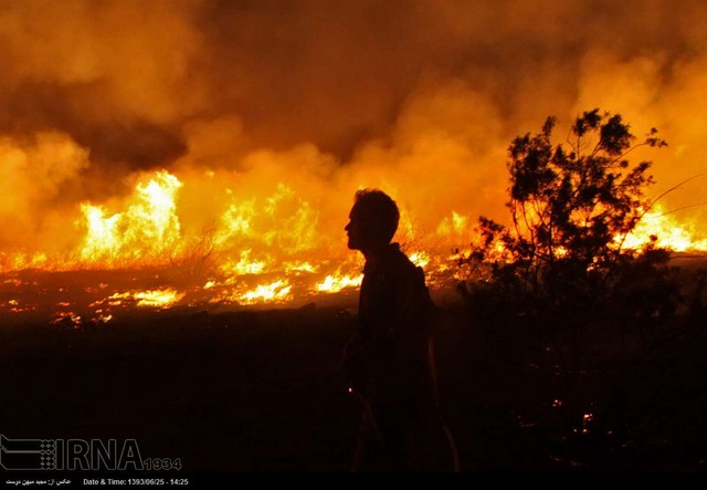 آتش‌سوزی در جزیره ایرانی دریای خزر (عکس)