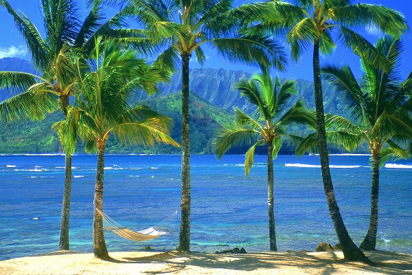 مناظر دیدنی(عکس)