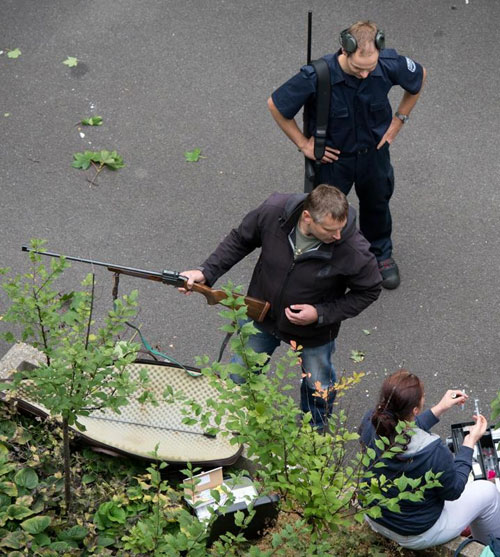 گوزن سرگردان در اداره! (+عکس)