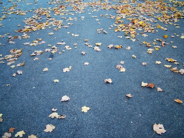 پاییزی(عکس)