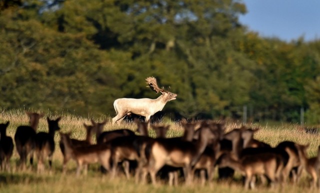 دیدنی های امروز