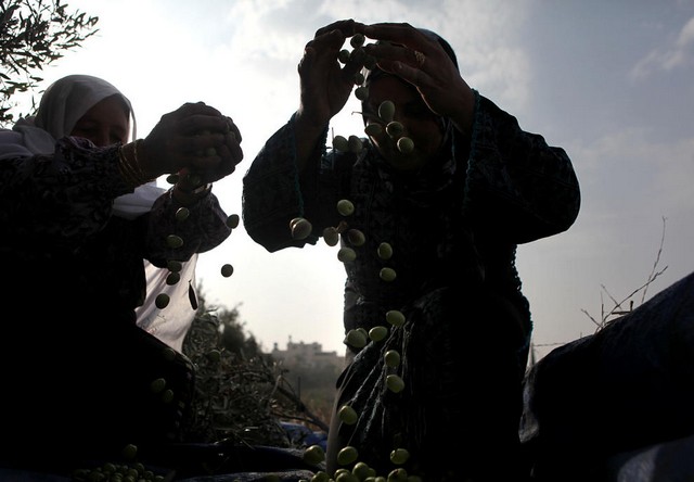 دیدنی های امروز