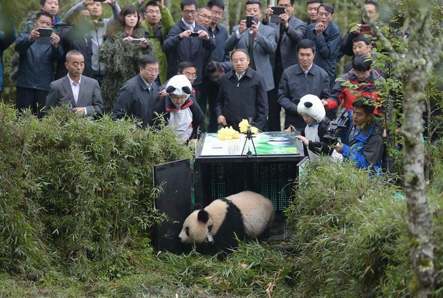 دیدنی های امروز دیدنی های امروز