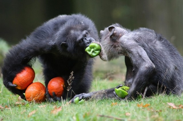 دیدنی های امروز دیدنی های امروز