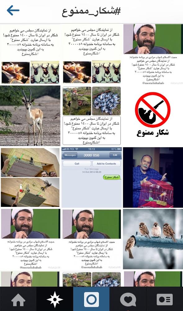 استقبال از طرح شکار ممنوع تا 1400 (عکس)