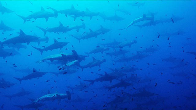 دیدنی های امروز