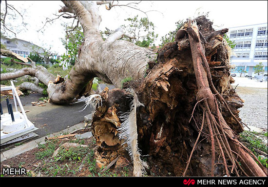 «ونگ فونگ» چین و ژاپن را تکان داد (عکس)