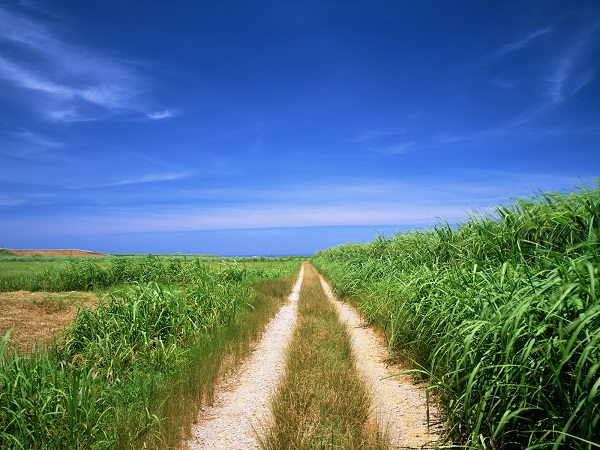 این تصاویر زیبا را ببینید!