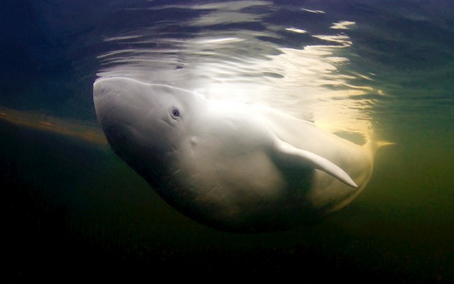 دیدنی های امروز