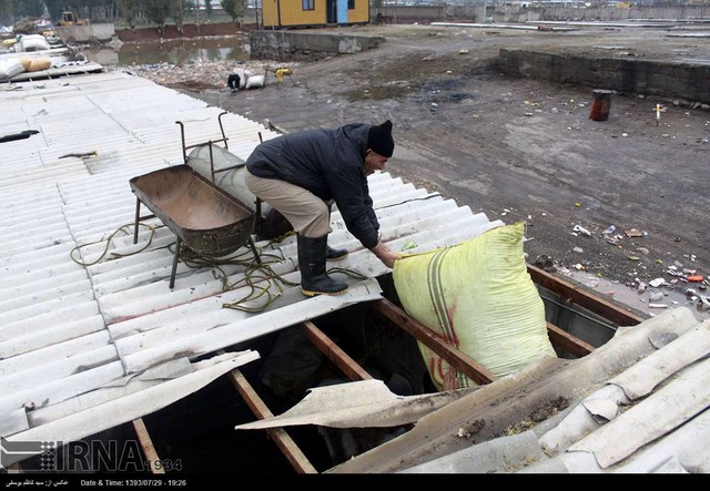 خسارت سیل به مرکز فروش دام در تبریز (عکس)