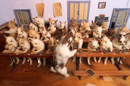 موزه والتر پاتر (عکس)