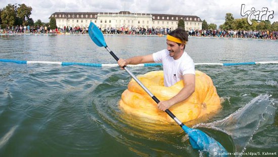 مسابقه هیجان‌انگیز کدو تنبل‌سواری! (+عکس)