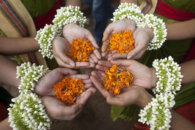 دیدنی های امروز