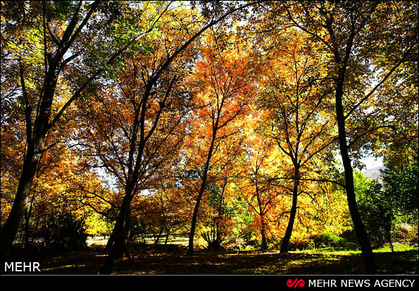 طبیعت پائیزی روستاهای خراسان (عکس)