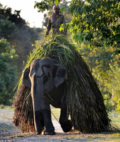 دیدنی های امروز