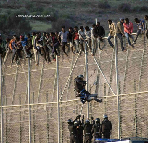 ساعت ها انتظار دردناک روی حصار (عکس)