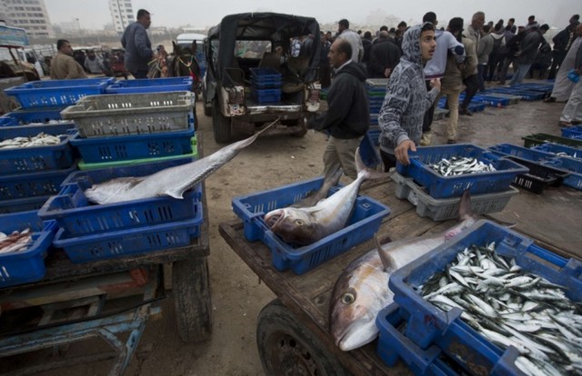 دیدنی های امروز