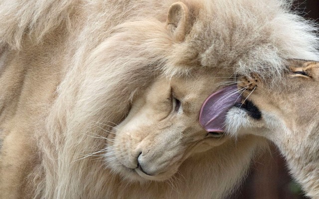 دیدنی های امروز