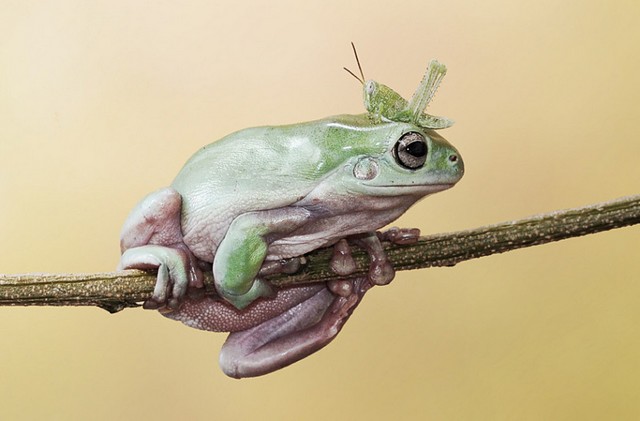 دیدنی های امروز دیدنی های امروز