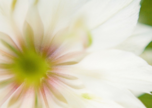 این تصاویر زیبا را ببینید!