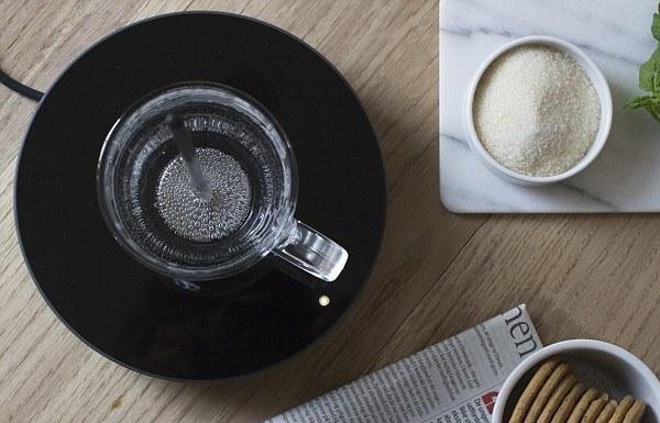 پاپانی بر عمر کتریها+ تصاویر پاپانی بر عمر کتریها+ تصاویر