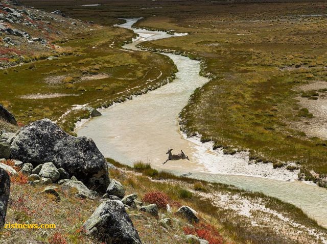 بدون شرح(عکس)