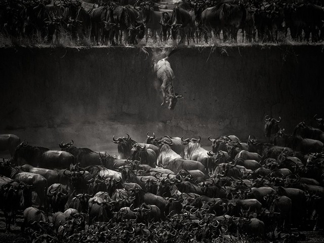 دیدنی های امروز