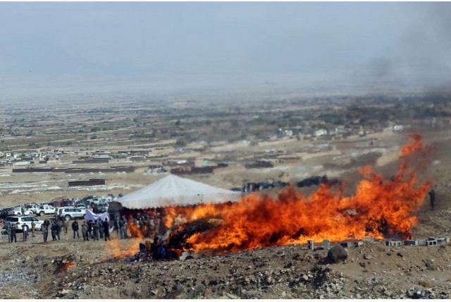 دیدنی های امروز