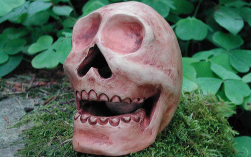 ترسناک ترین سوت دنیا (+عکس)