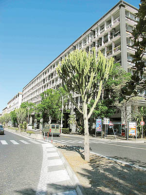 سفرنامه اروپا سفرنامه اروپا