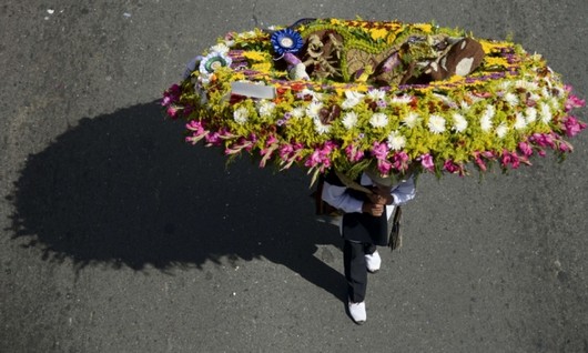 دیدنی های امروز