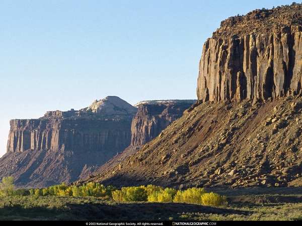 این تصاویر زیبا را ببینید!