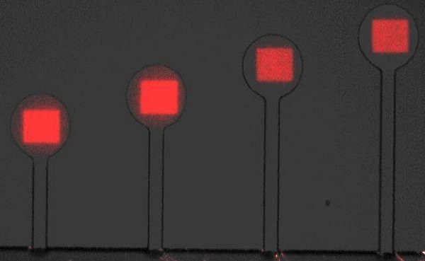 تولید سلول مصنوعی از سیلیکون تولید سلول مصنوعی از سیلیکون