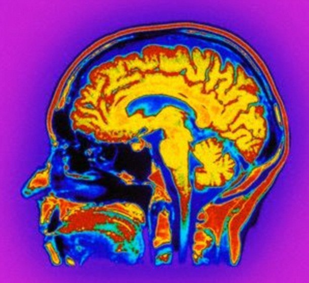 نخستین مرد لالی که با داروی ضد اضطراب زبان باز کرد نخستین مرد لالی که با داروی ضد اضطراب زبان باز کرد