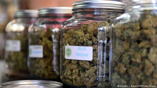 بحث و جدل پیرامون ورود یک ماده مخدر 