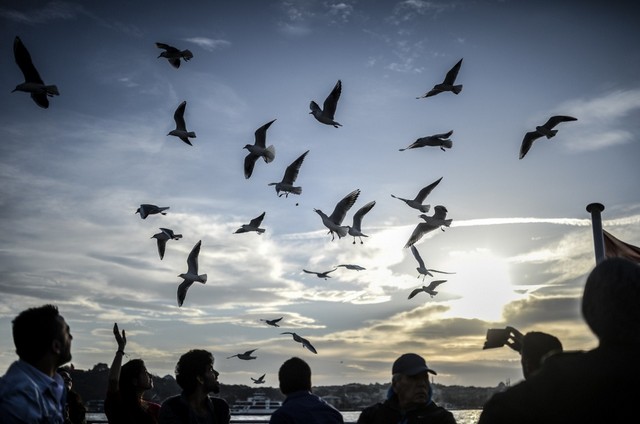 دیدنی های امروز