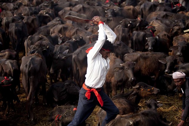 دیدنی های امروز دیدنی های امروز