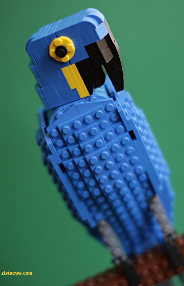 متفاوت ترین پرندگان جهان!(عکس)