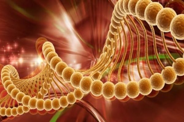 عجیبترین رخدادهای پزشکی در سالی که گذشت عجیبترین رخدادهای پزشکی در سالی که گذشت